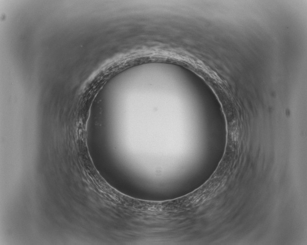 X0000087521495200705041159