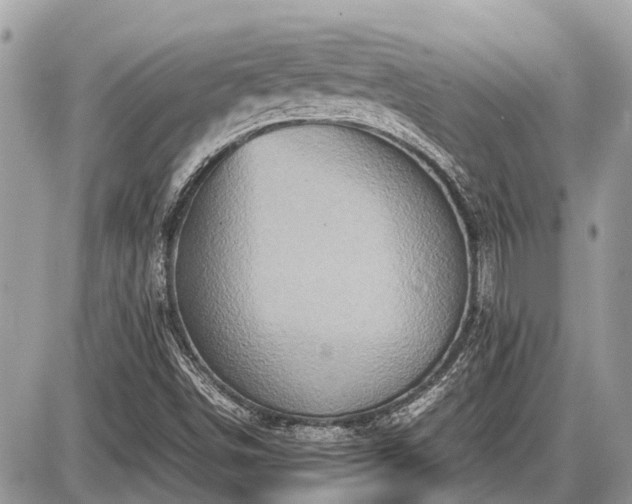 X0000087521498200705041159