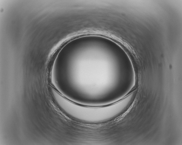 X0000087521502200705041159