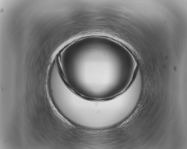 X0000087521518200705041200