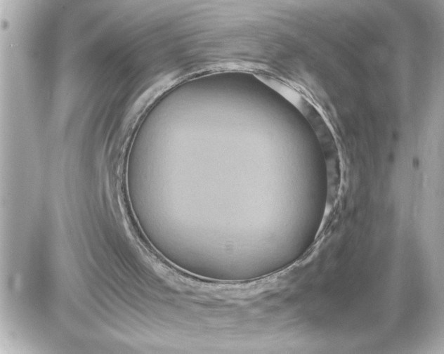 X0000087520001200705112018