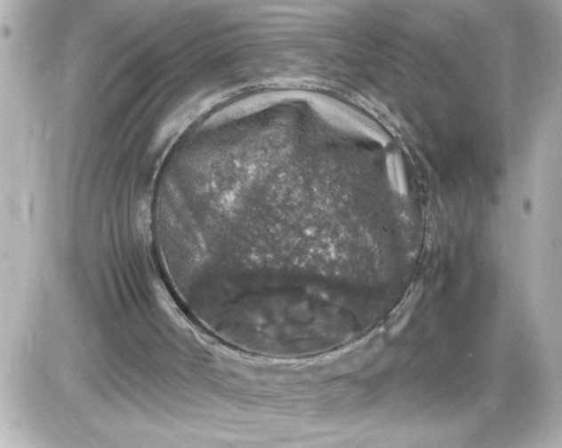 X0000087520002200705112018