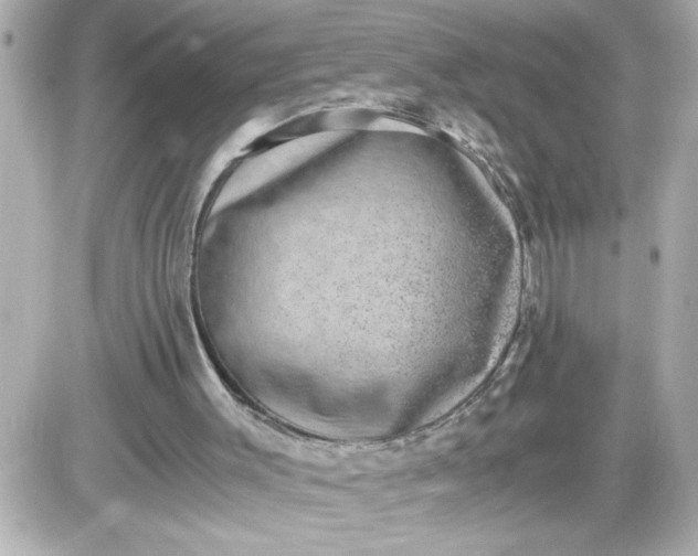 X0000087520003200705112018