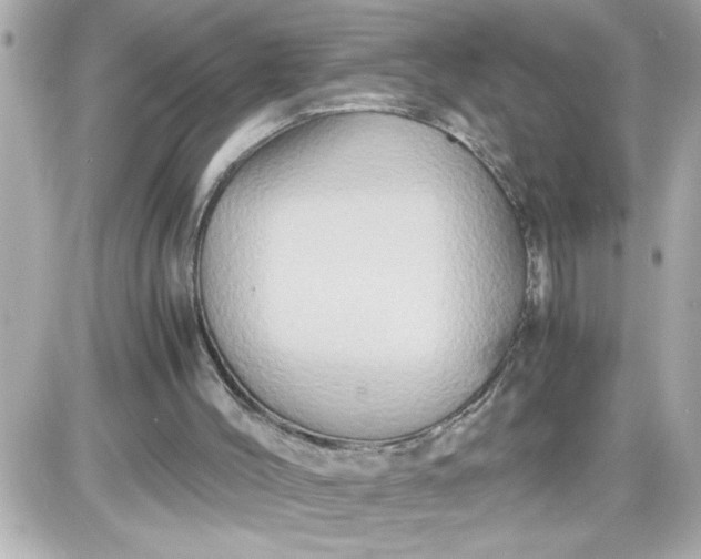 X0000087520004200705112018