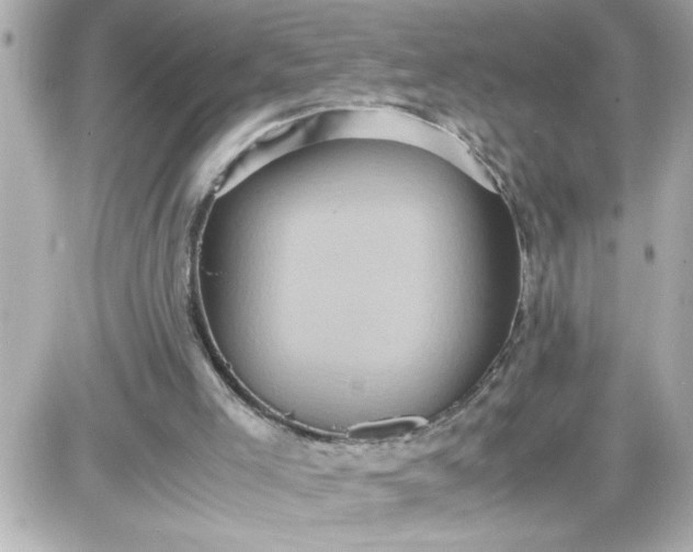 X0000087520005200705112018