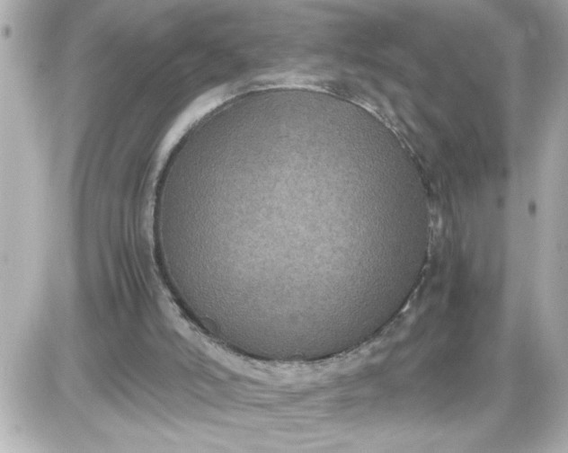 X0000087520006200705112018