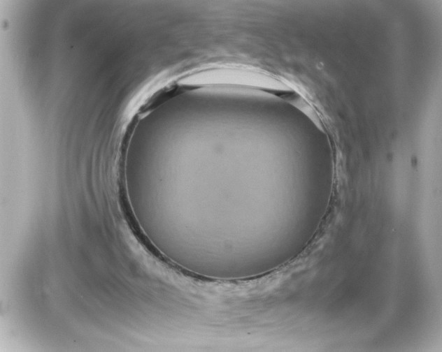 X0000087520007200705112018