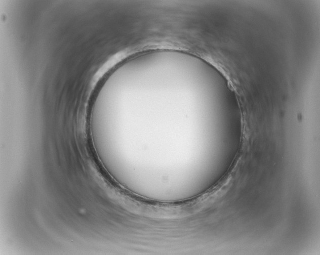 X0000087520008200705112018