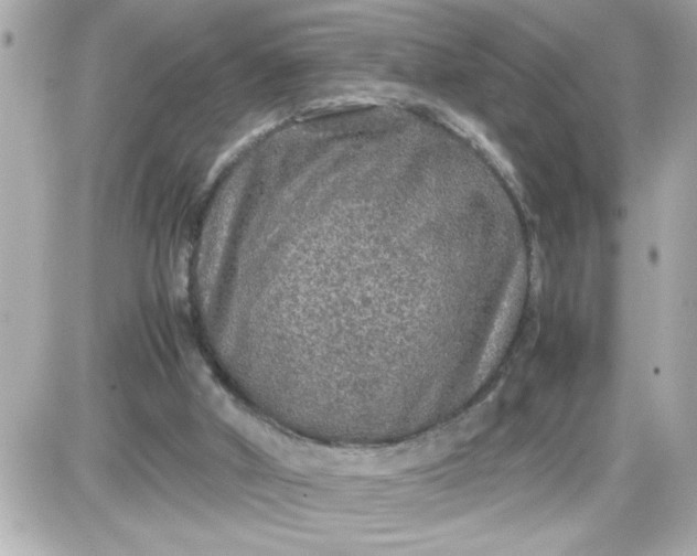 X0000087520010200705112018