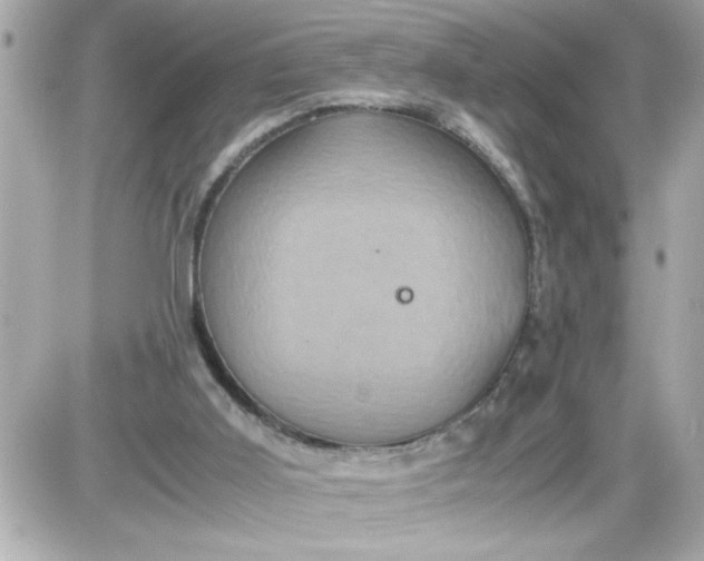 X0000087520011200705112018