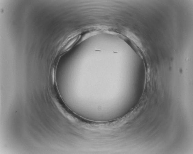 X0000087520013200705112018