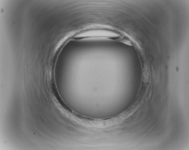 X0000087520015200705112018