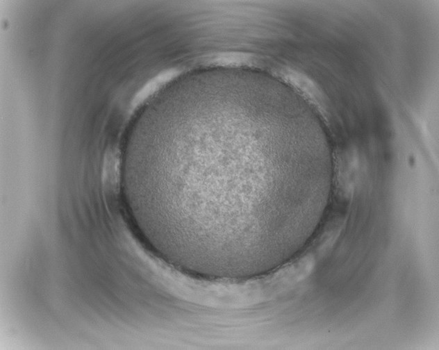 X0000087520016200705112018