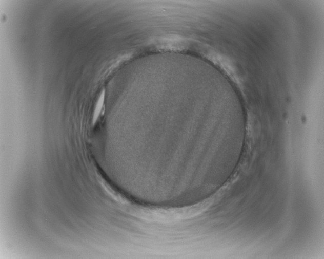 X0000087520017200705112018