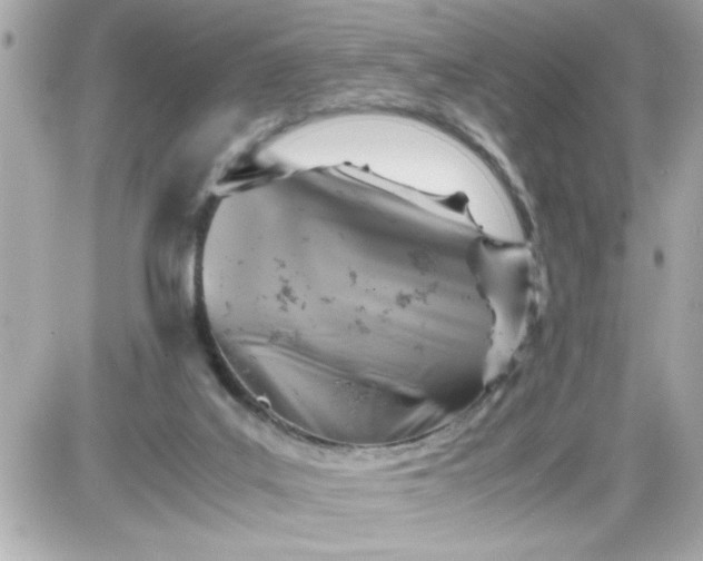 X0000087520019200705112017