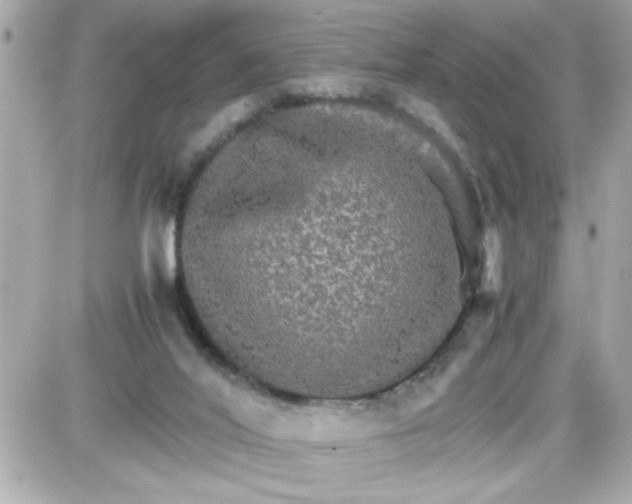 X0000087520020200705112017