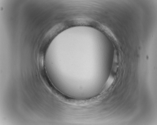 X0000087520021200705112017