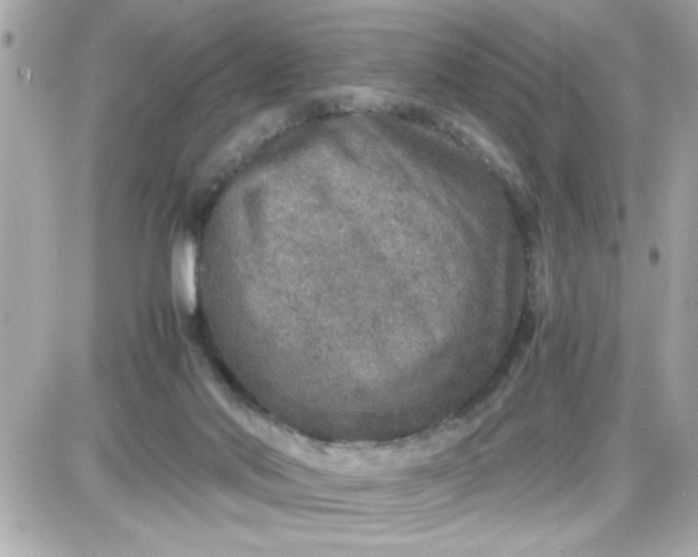 X0000087520022200705112017