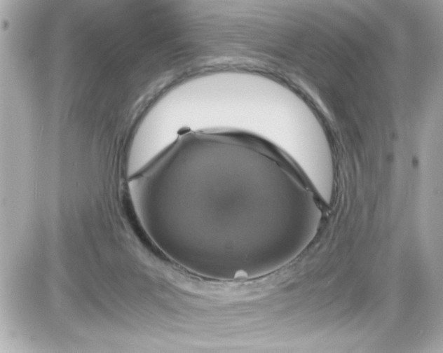 X0000087520023200705112017