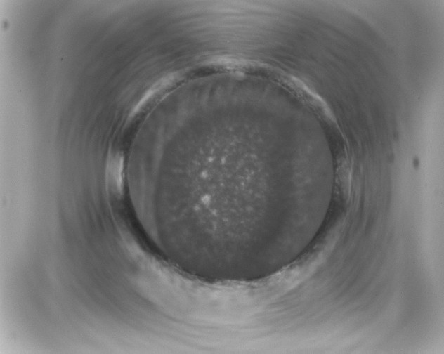 X0000087520024200705112017