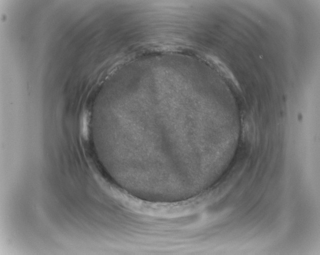 X0000087520026200705112017