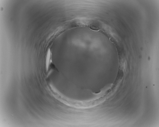 X0000087520027200705112017