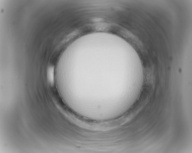 X0000087520028200705112017