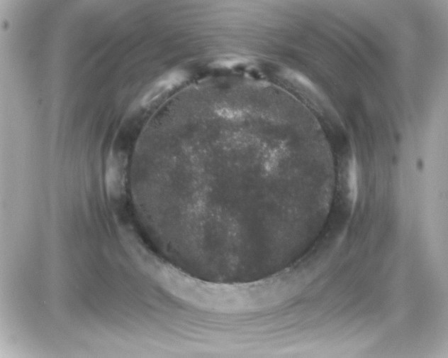 X0000087520030200705112017