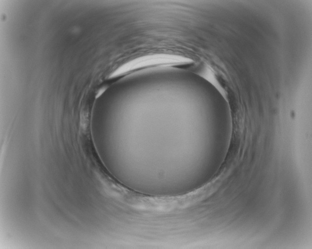 X0000087520033200705112017