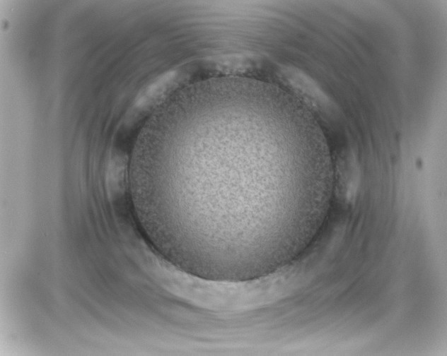 X0000087520034200705112017