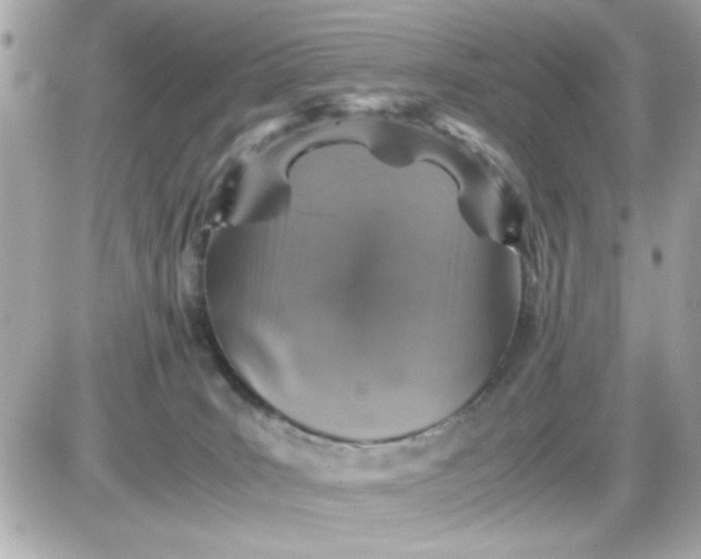 X0000087520035200705112017