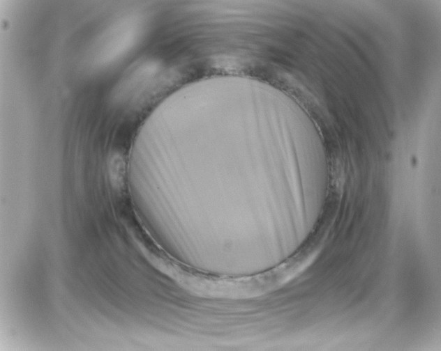 X0000087520036200705112017