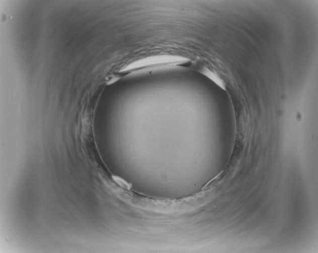 X0000087520037200705112017