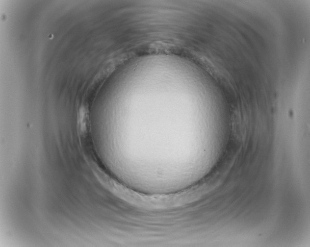 X0000087520038200705112017