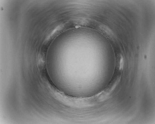 X0000087520040200705112017