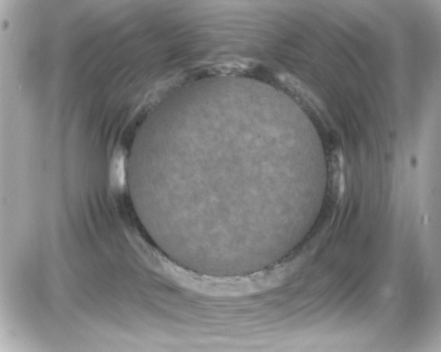 X0000087520042200705112017