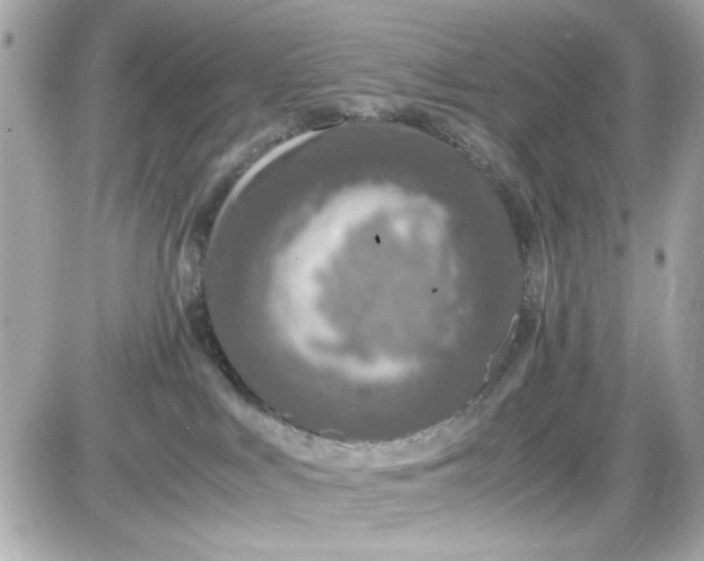 X0000087520043200705112017