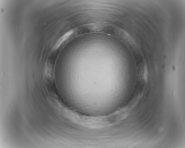 X0000087520044200705112017