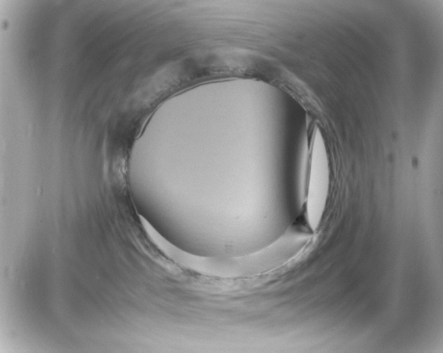 X0000087520045200705112017