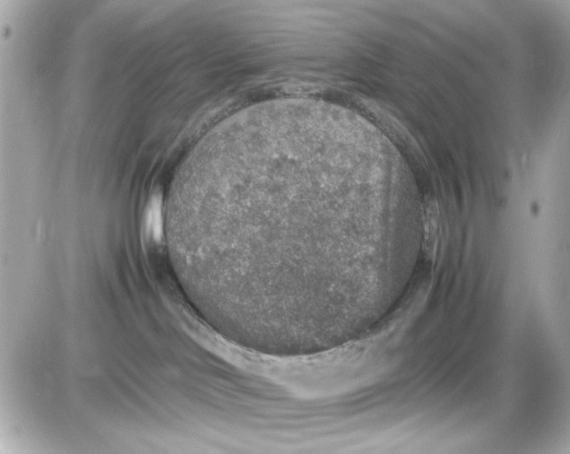 X0000087520046200705112017