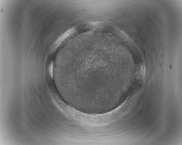 X0000087520047200705112017