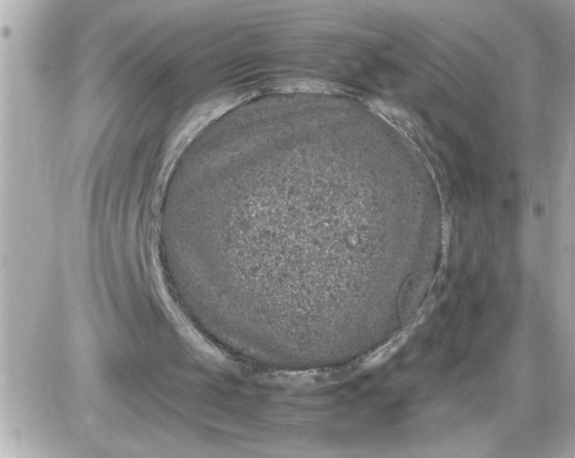 X0000087520049200705112016