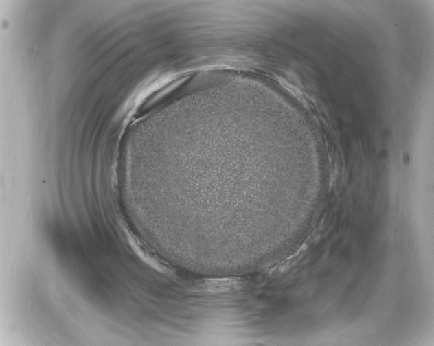 X0000087520050200705112016