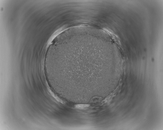 X0000087520051200705112016