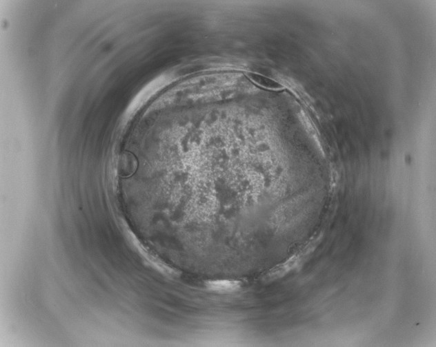 X0000087520053200705112016