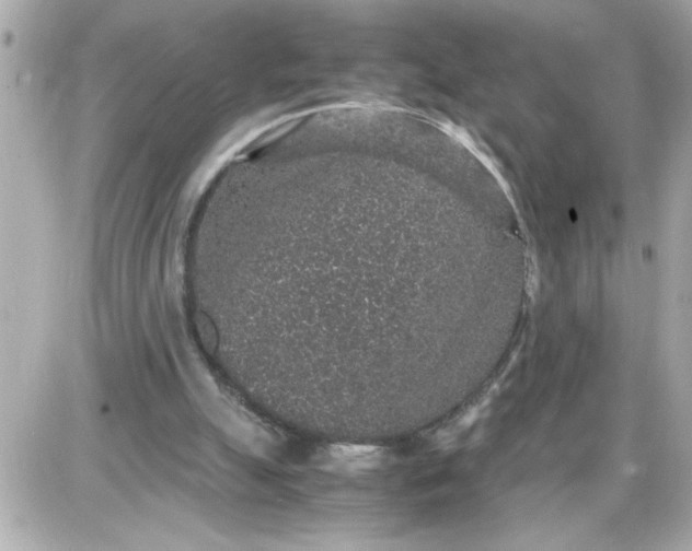 X0000087520055200705112016