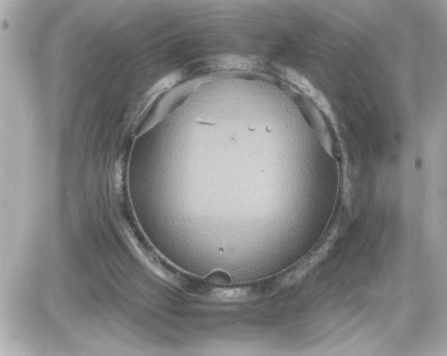 X0000087520057200705112016