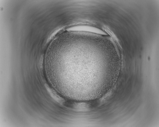 X0000087520058200705112016