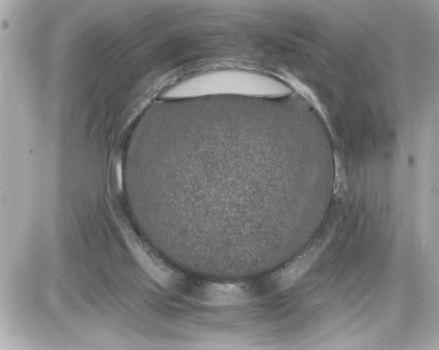 X0000087520061200705112016