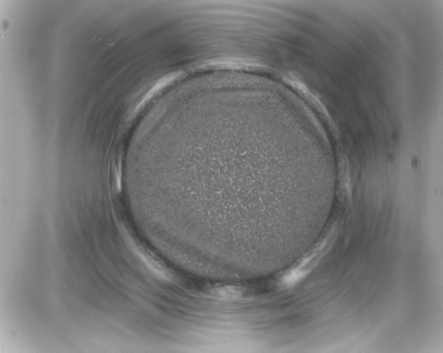 X0000087520062200705112016